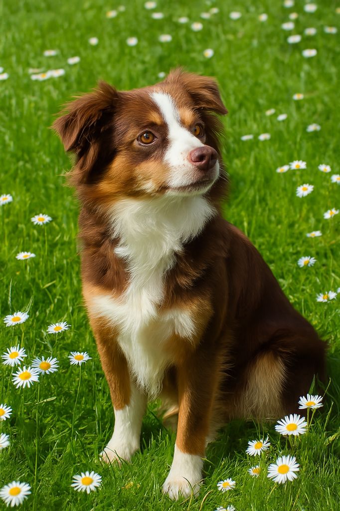 Anouk Des Graines De Bam